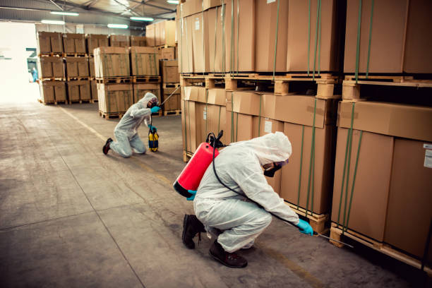 Best Pest Control for Homes  in Riverdale, NJ