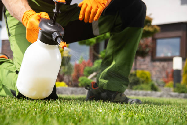 Best Insect Control  in Riverdale, NJ