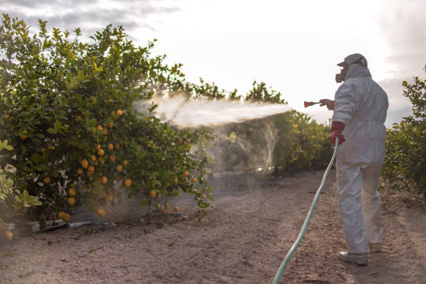 Best Bed Bug Extermination  in Riverdale, NJ