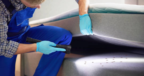 Best Termite Control Services  in Riverdale, NJ