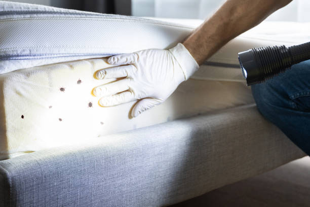 Best Pest Control Near Me  in Riverdale, NJ